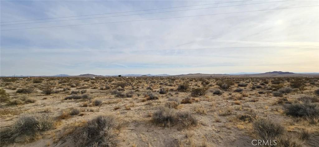Hinkley, CA 92347,800 Grass Hopper (NEAR)