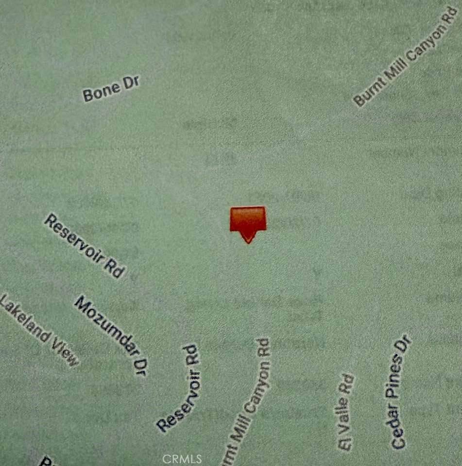 Cedarpines Park, CA 92322,0 Burnt Mill Canyon RD