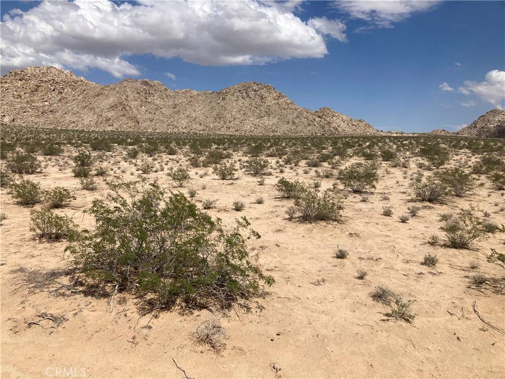 Lucerne Valley, CA 92356,4500713 Wren