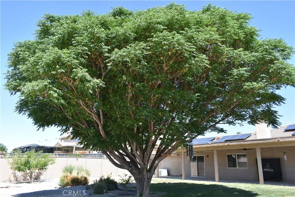 Helendale, CA 92342,26709 Lakeview DR