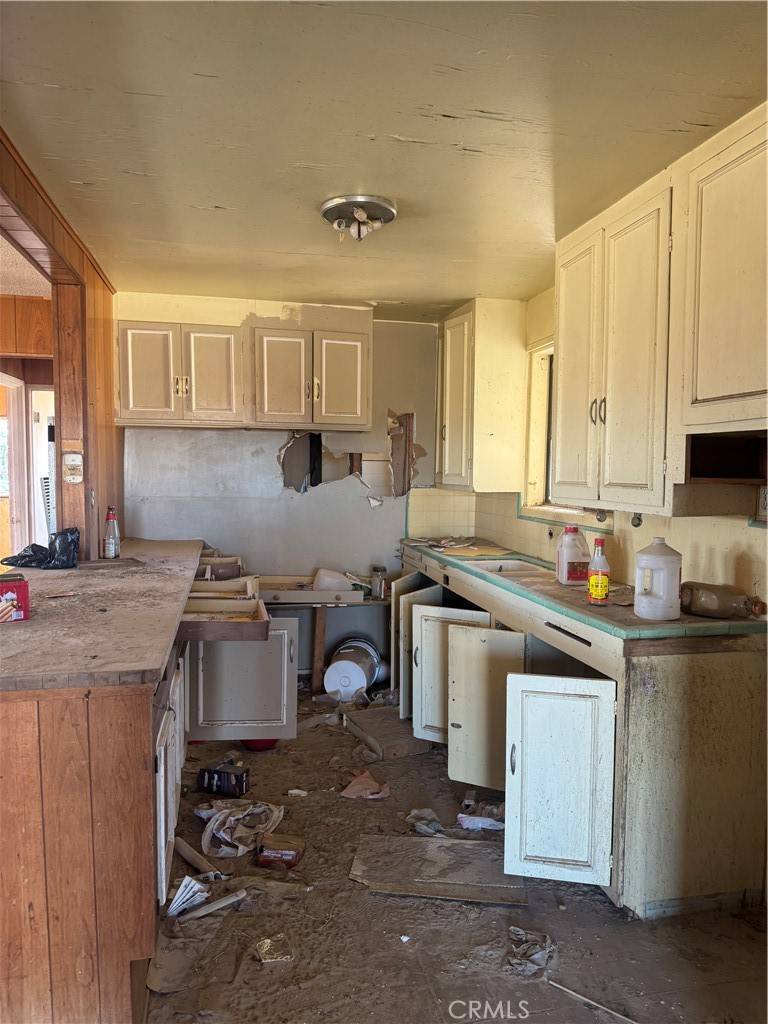 Newberry Springs, CA 92365,46275 Palma Vista RD