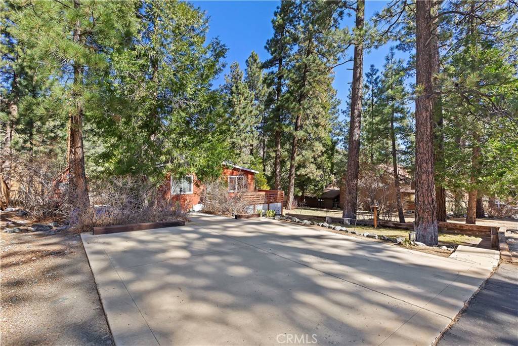 Wrightwood, CA 92397,1698 Irene ST