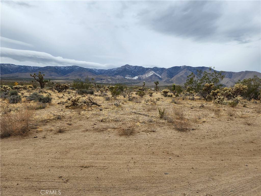 Lucerne Valley, CA 92356,500 Santa Rosa RD