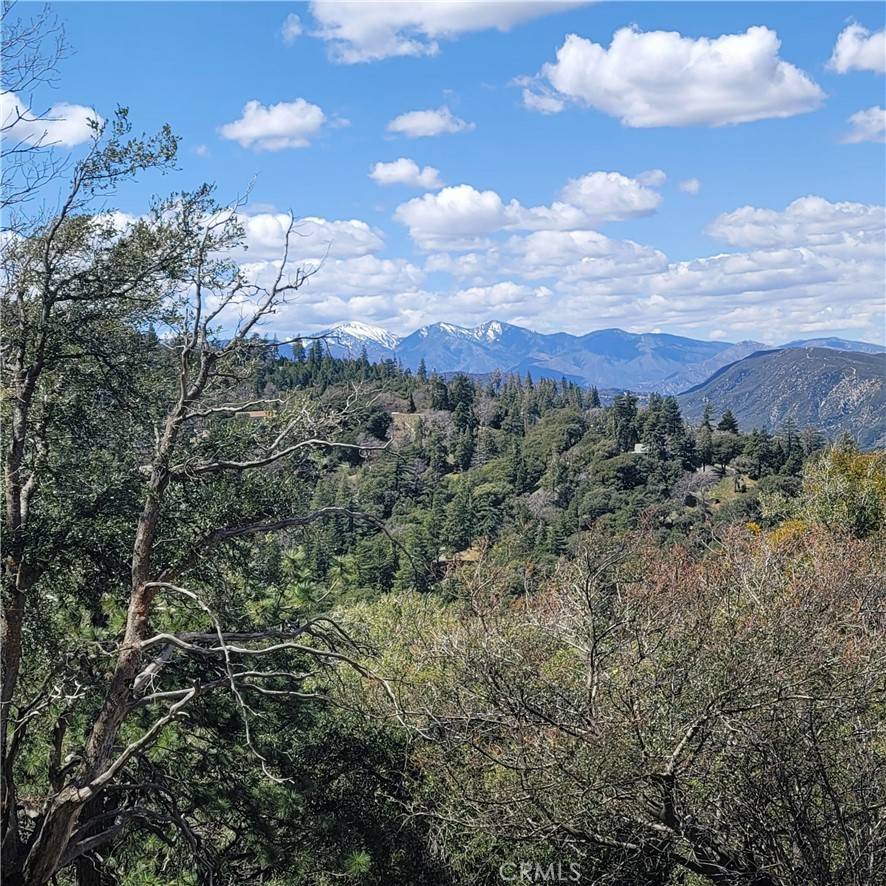 Cedarpines Park, CA 92322,3430247 Mojave View DR