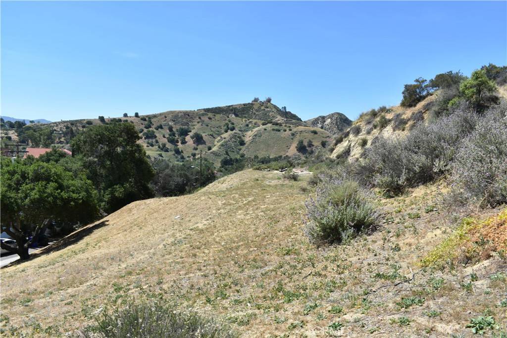 Newhall, CA 91321,0 APN 3247-034-013