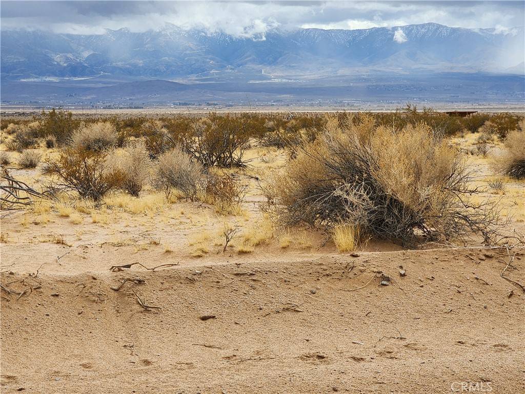 Lucerne Valley, CA 92356,501 Lantana ST