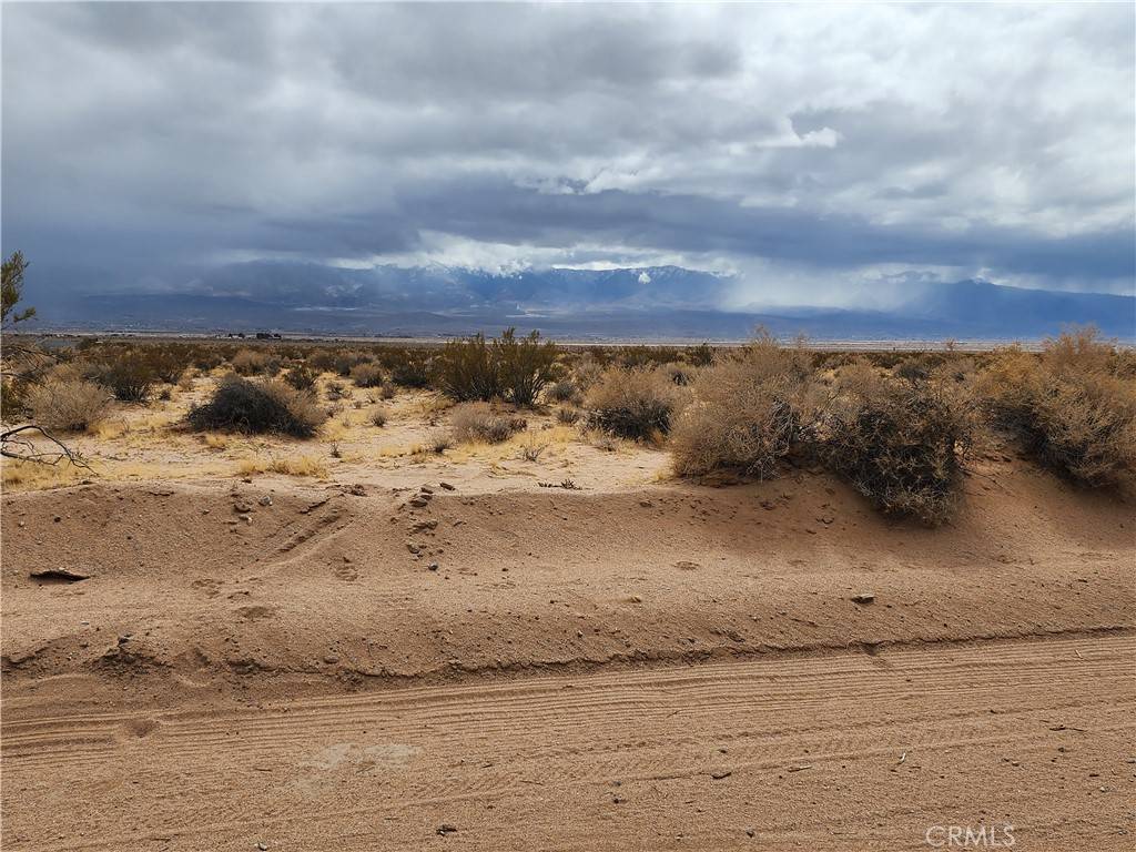 Lucerne Valley, CA 92356,501 Lantana ST