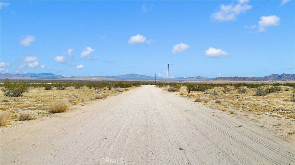 Johnson Valley, CA 92285,0 Datura