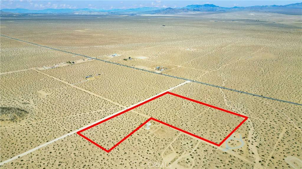 Johnson Valley, CA 92285,0 Datura