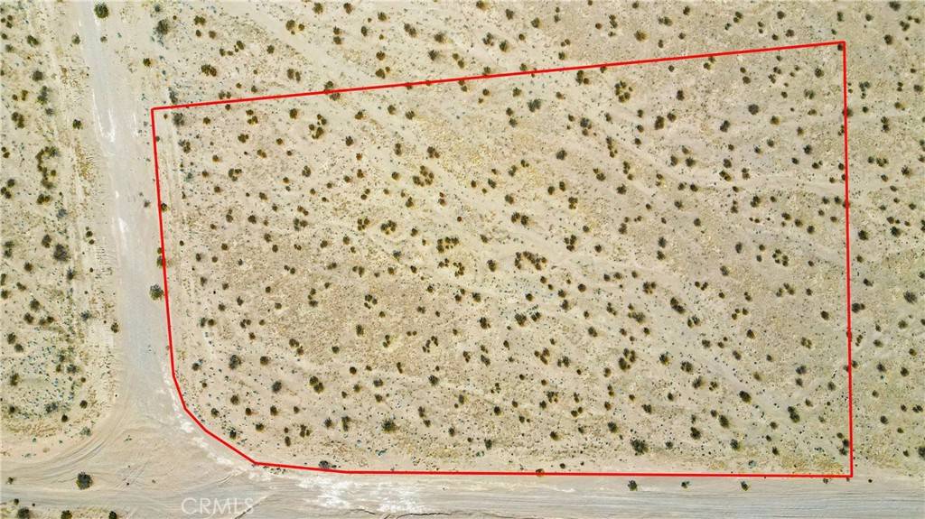 Adelanto, CA 92301,0 Desert Flower