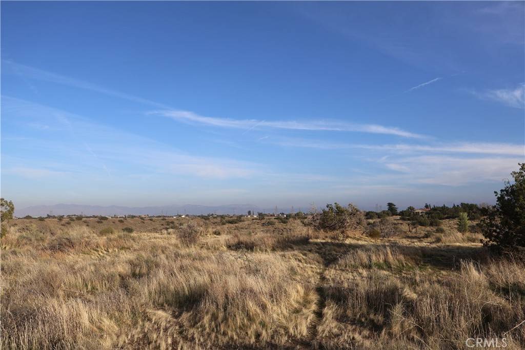 Oak Hills, CA 92344,9955 Macron ST