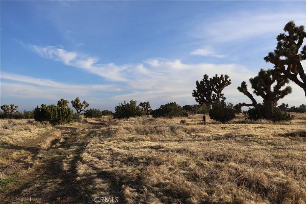 Oak Hills, CA 92344,9955 Macron ST
