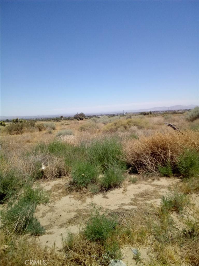 Phelan, CA 92371,9682 Centola RD