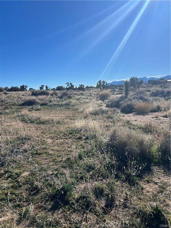 Phelan, CA 92371,0 Tricobble CT