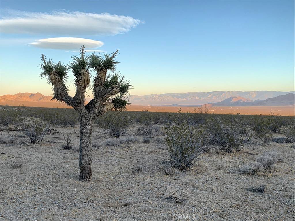 Barstow, CA 92311,0 VL Near Lucerne Valley Cutoff