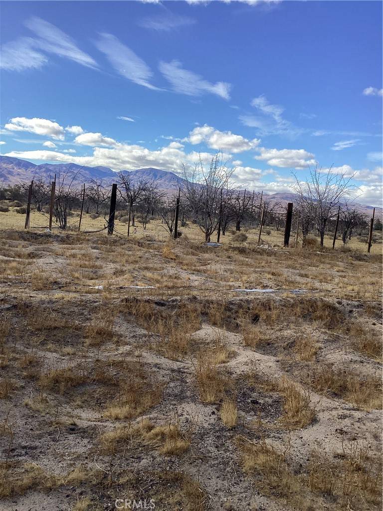 Newberry Springs, CA 92365,41854 Silver Valley RD
