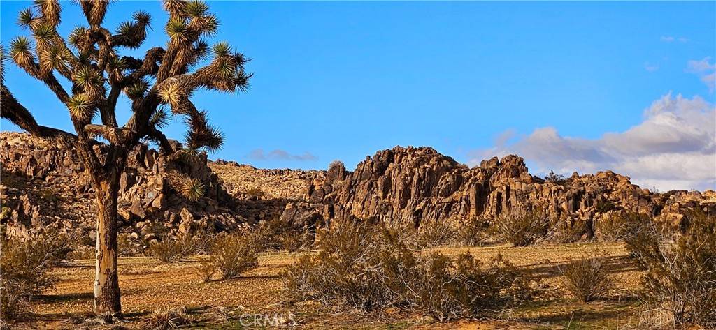 Adelanto, CA 92301,800 Adobe Mountain Rd.