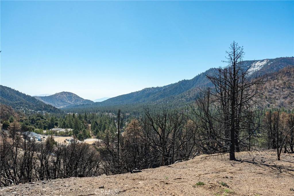 Wrightwood, CA 92397,0 North Cardinal Rd