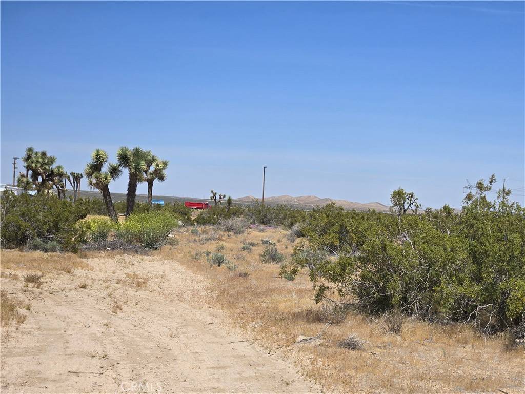 Adelanto, CA 92301,10 Acres Beaver AVE