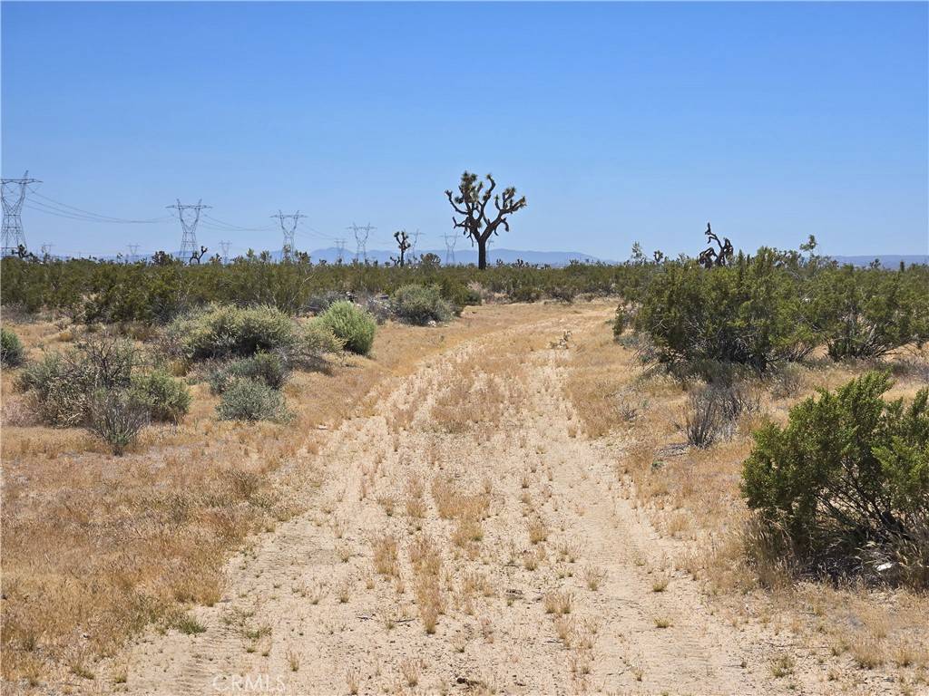 Adelanto, CA 92301,10 Acres Beaver AVE