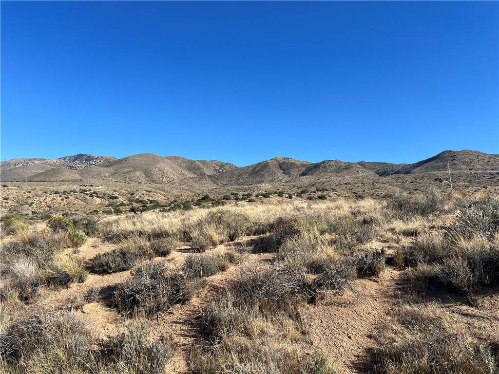 Apple Valley, CA 92307,0 Mountain View RD