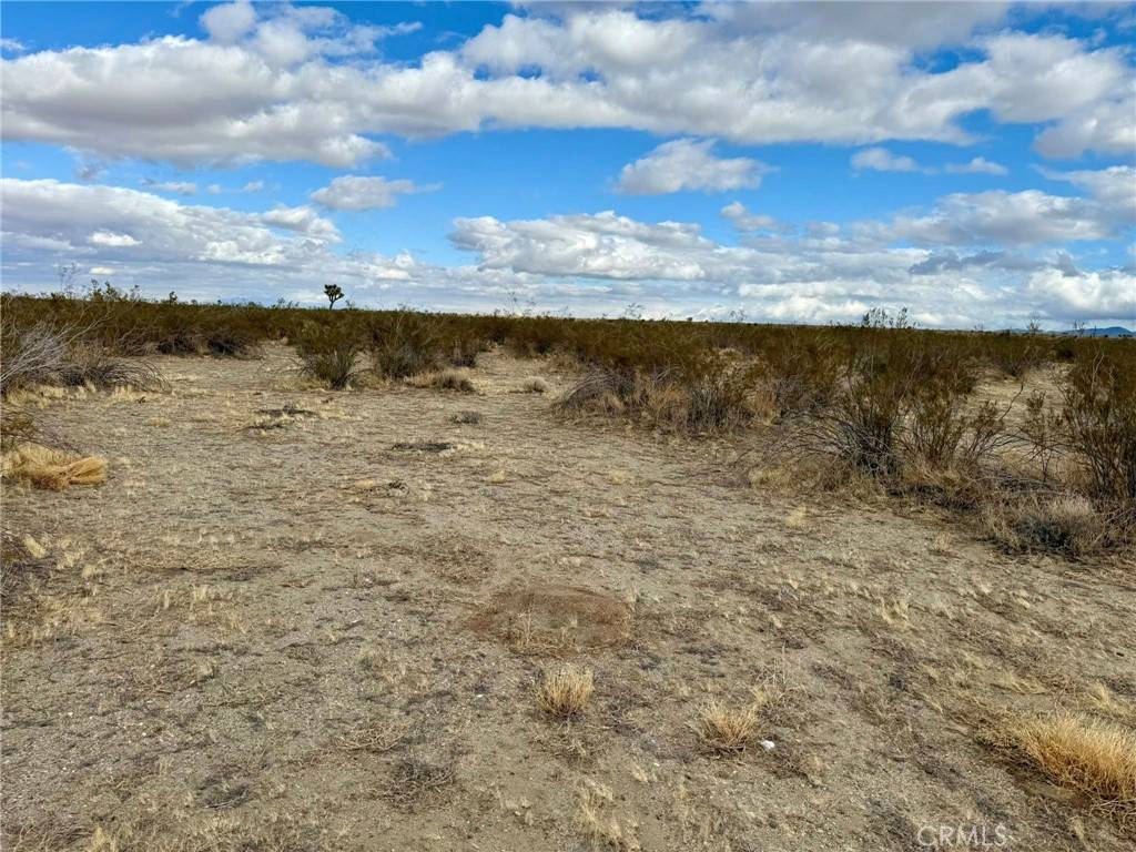 Pinon Hills, CA 92372,31005410 4 Dos Palmas AVE
