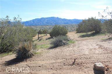 Hesperia, CA 92345,0 Paisley ST