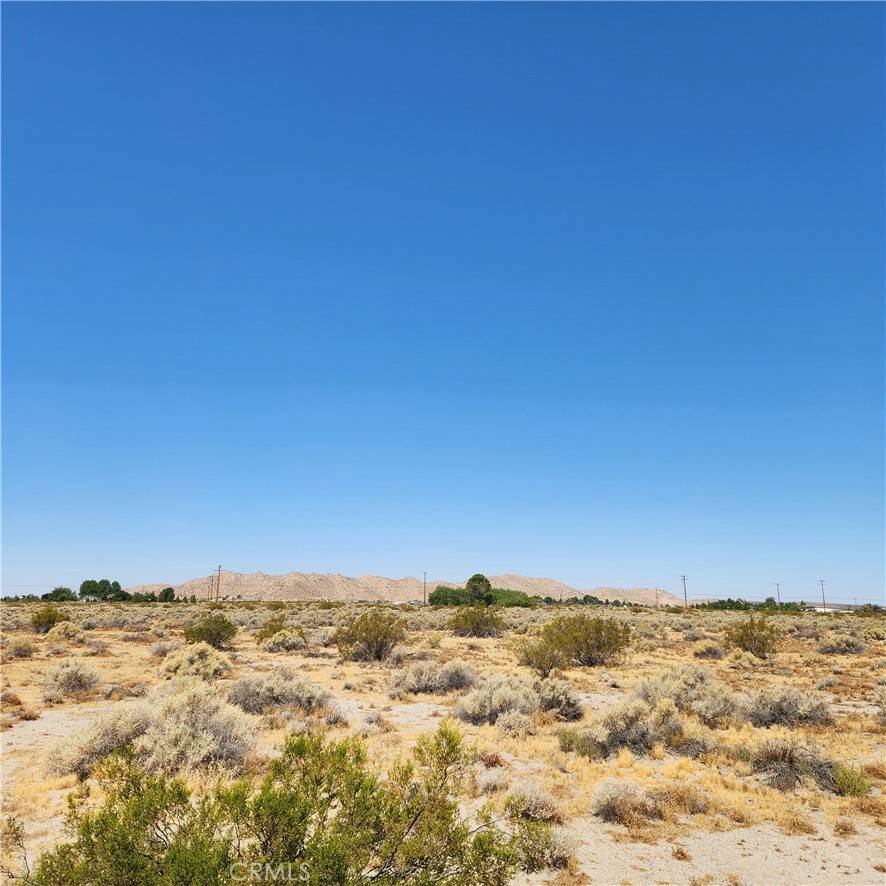 El Mirage, CA 92301,202 Shelly RD