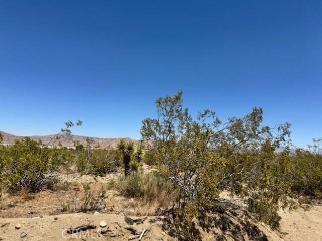 Lucerne Valley, CA 92356,0 Miller Ranch RD