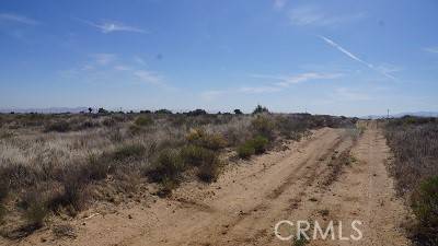 Phelan, CA 92371,4 Wilson Ranch RD