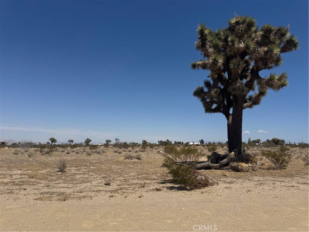 Phelan, CA 92371,0 Centola RD