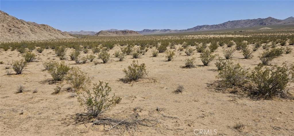 Lucerne Valley, CA 92356,800 Brucite St. AVE