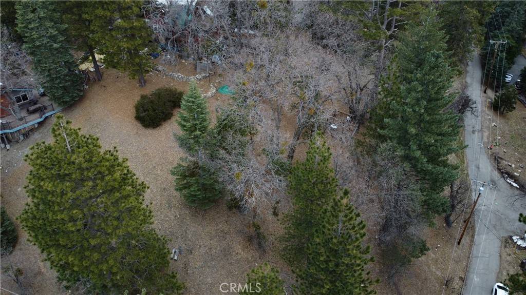 Running Springs, CA 92382,701 Preston DR