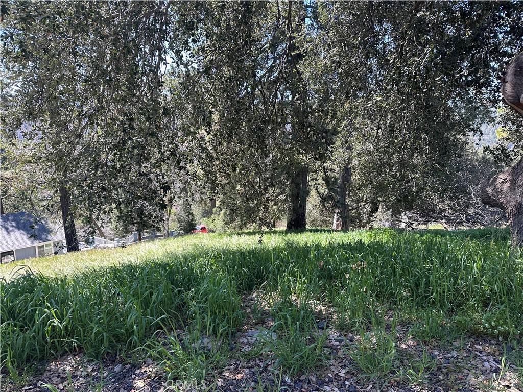 Cedarpines Park, CA 92322,0 Elliot RD