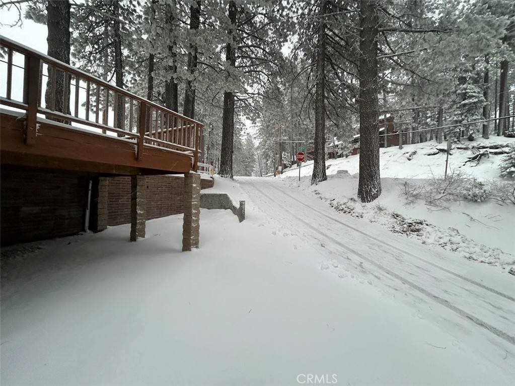 Green Valley Lake, CA 92341,33037 Canyon DR