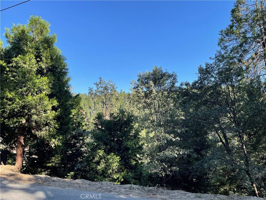 Lake Arrowhead, CA 92352,1098 Lot 1098 Victoria CT E