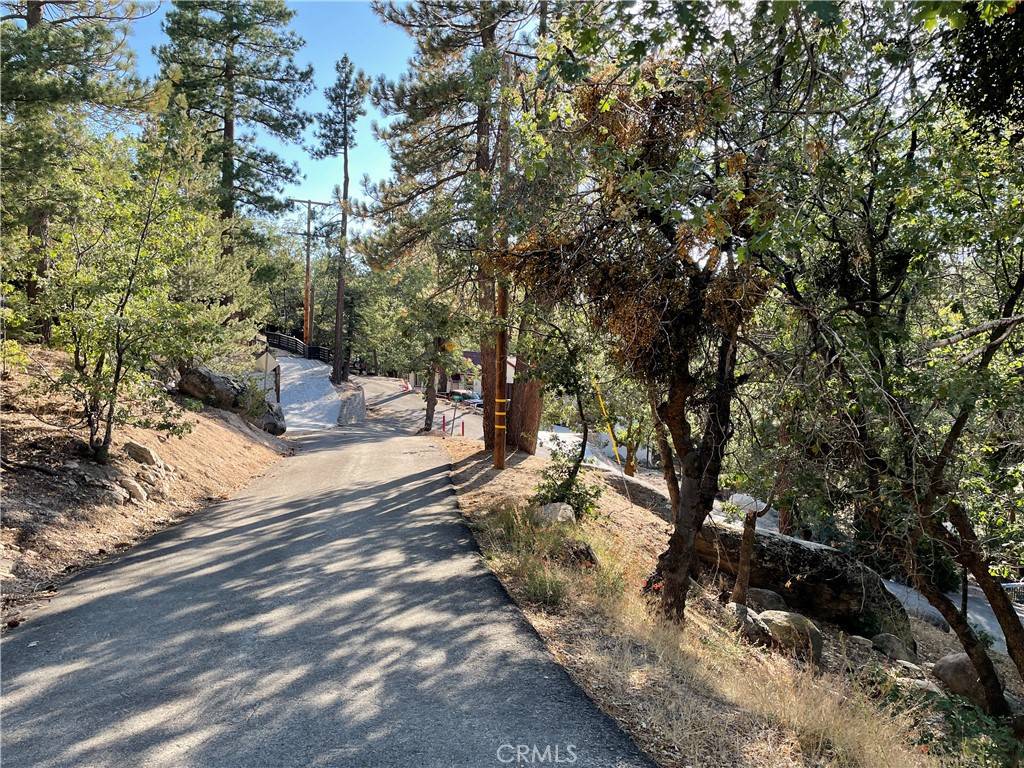 Arrowbear, CA 92382,24 Lot 24 Conway DR