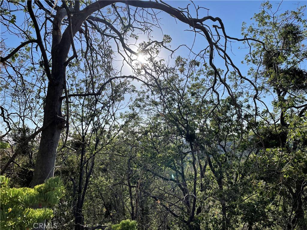 Arrowbear, CA 92382,23 Lot 23 Music Camp RD
