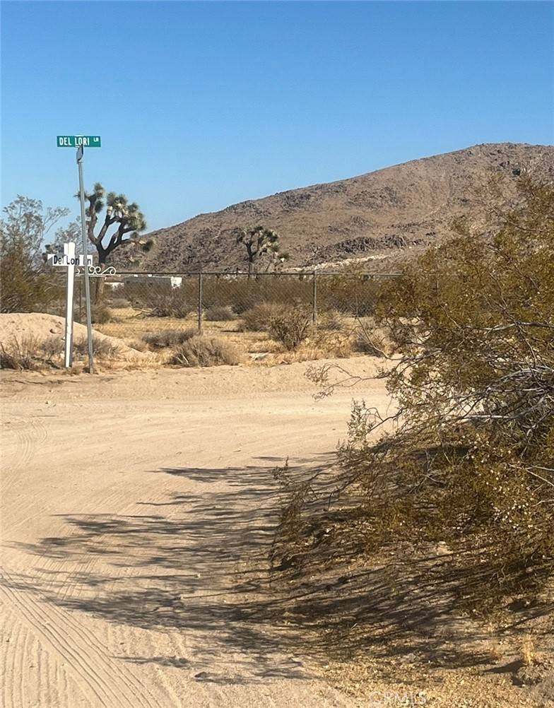 Joshua Tree, CA 92252,0 Campanula ST