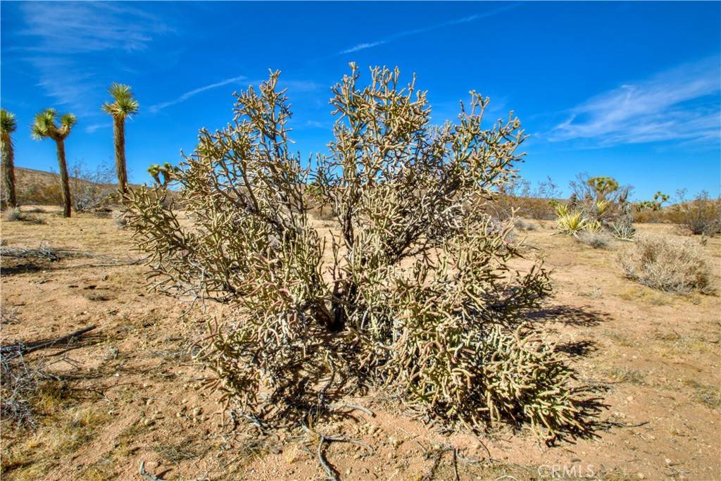 Yucca Valley, CA 92284,38 Lot 38 La Crescenta DR