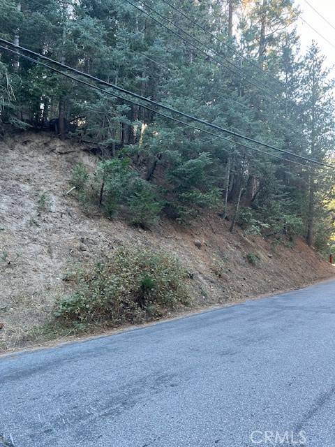 Twin Peaks, CA 92391,0 Lake Forest DR