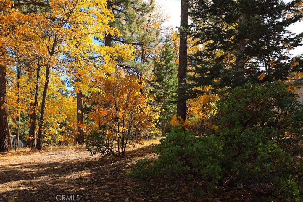 Big Bear Lake, CA 92315,0 Ford Ln