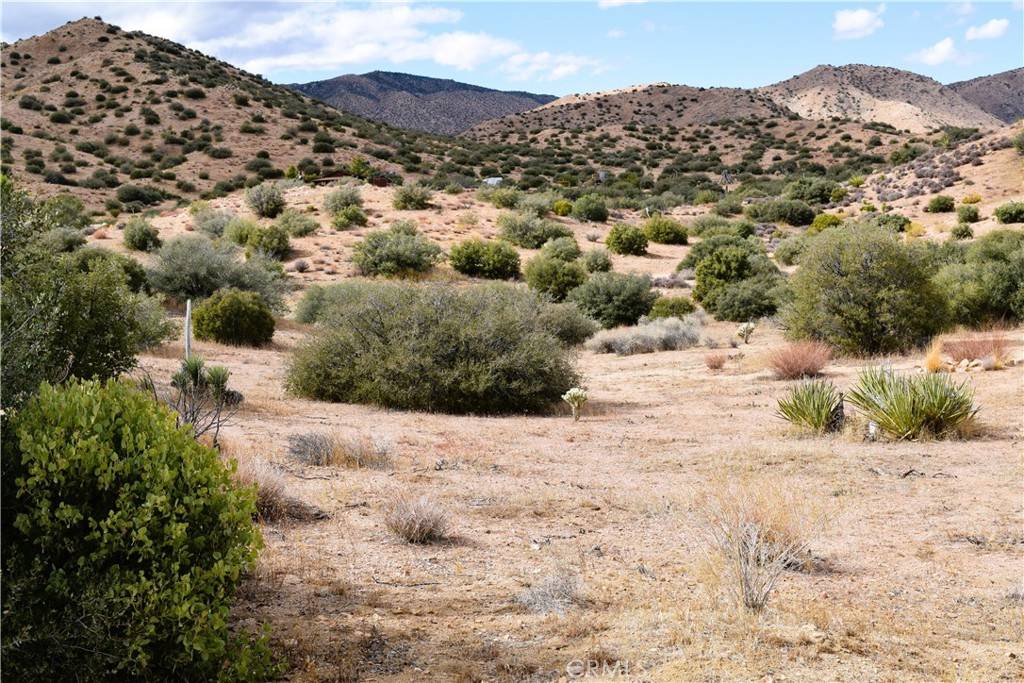 Pioneertown, CA 92268,0 Tumbleweed TRL