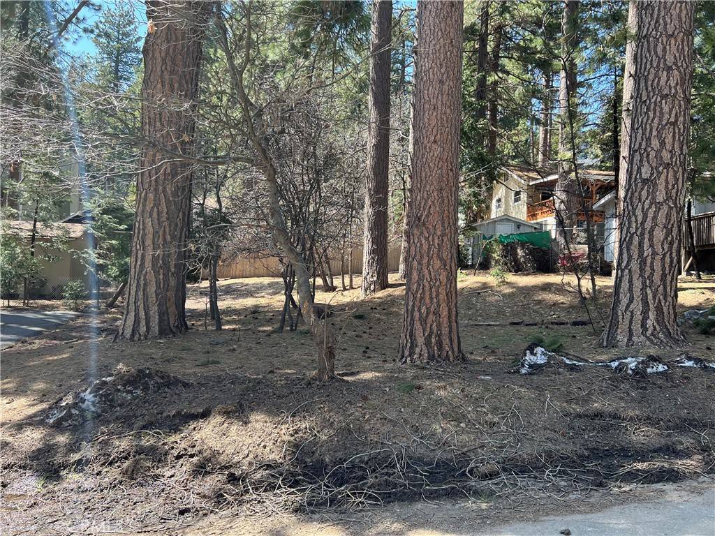 Running Springs, CA 92382,25 Whispering Pines