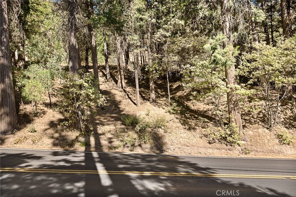 Twin Peaks, CA 92391,0 hwy 189