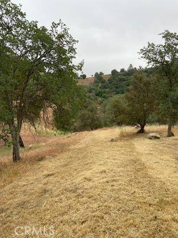 Tehachapi, CA 93561,0 Peregrine PL