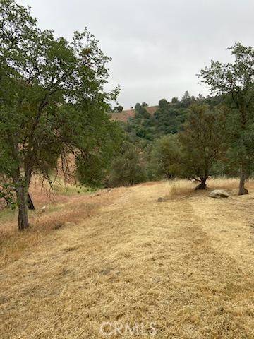 Tehachapi, CA 93561,0 Peregrine PL