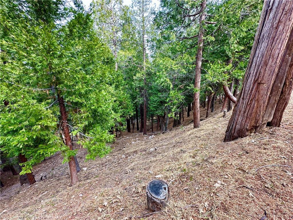 Lake Arrowhead, CA 92352,291 Hillside RD