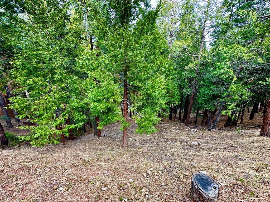 Lake Arrowhead, CA 92352,291 Hillside RD