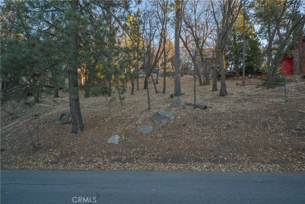 Lake Arrowhead, CA 92352,1411 Yosemite DR
